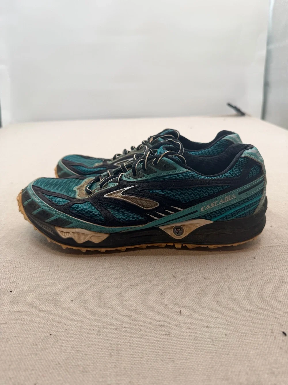 Brooks Cascadia 12